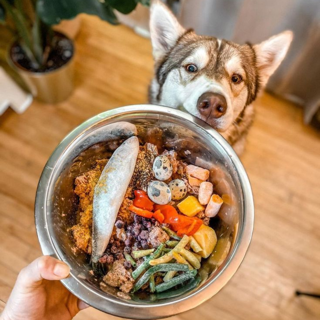 Raw vs. Cooked: What’s Better for Your Large Dog?